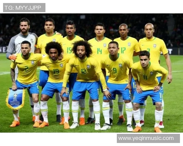 西安排球队逆袭之旅的精彩瞬间与背后故事揭秘