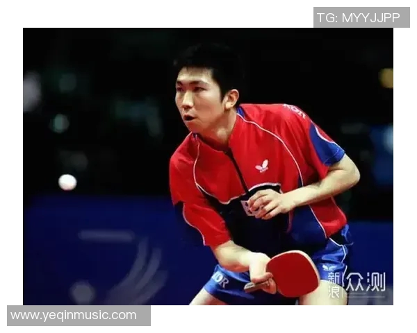 张磊的乒乓球人生深度对话探讨与成长之路的启示与反思