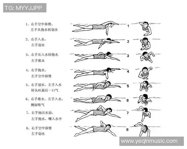 自由泳健身：提升体能、塑造身形、增强耐力的全方位训练方法
